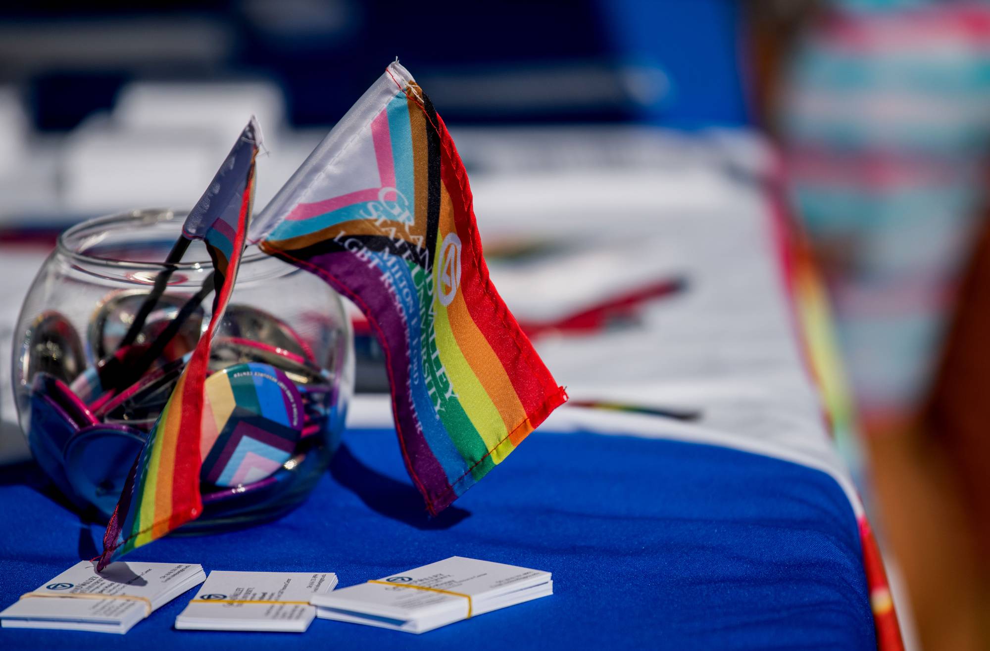 Bowl of rainbow flags, pins, and business cards laid out on a table at the Rainbow Social
